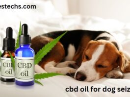 The Best CBD Oil for Dog Seizures