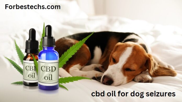 The Best CBD Oil for Dog Seizures